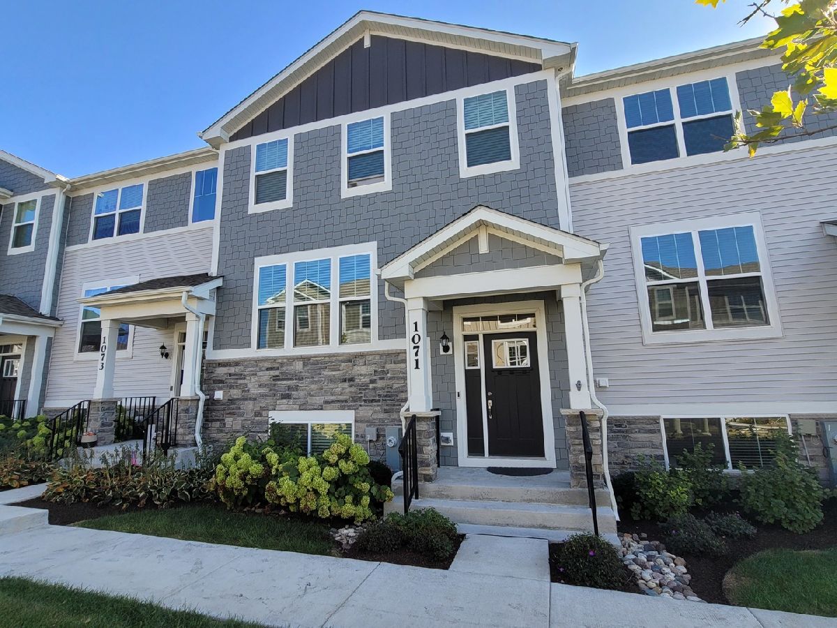 Condos & Townhomes For Sale Park Pointe South Elgin Illinois, 1071 Moraine Drive