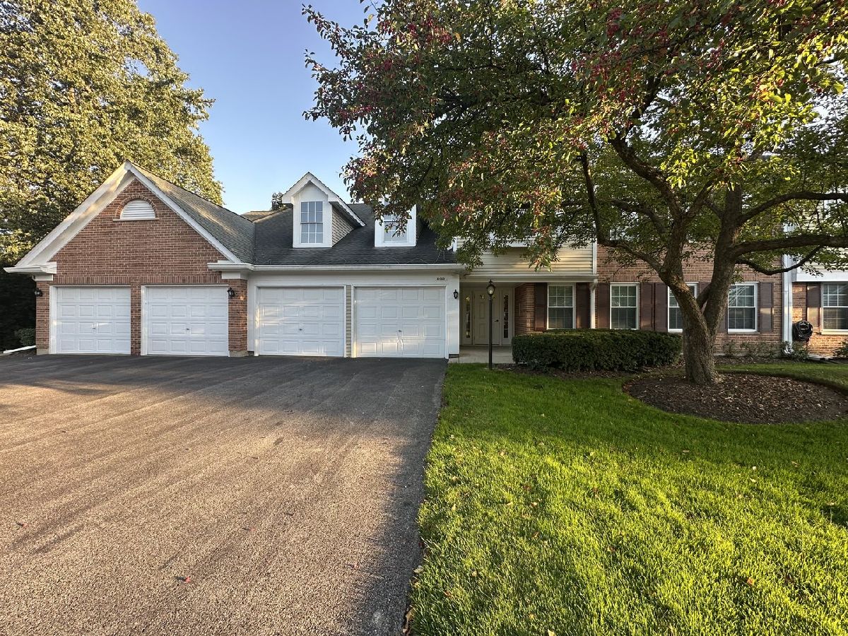 Condominiums For Sale Old Orchard Mount Prospect Illinois, 802 Butternut Lane