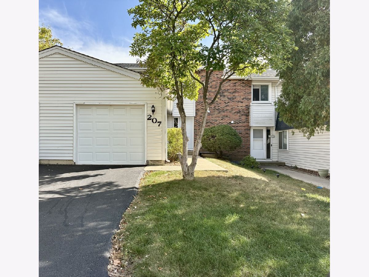 Townhomes For Rent Winston Village Bolingbrook Illinois, 207 Walker
