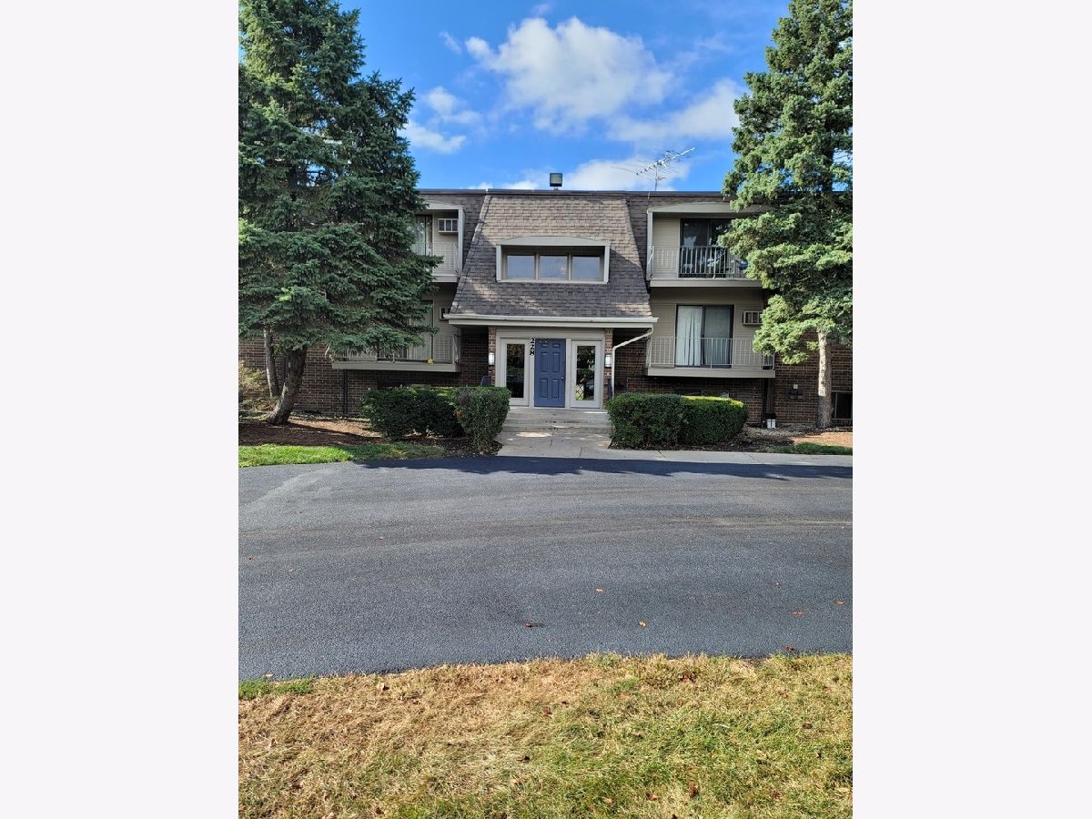  Sold Naperville Illinois, 228 Bailey