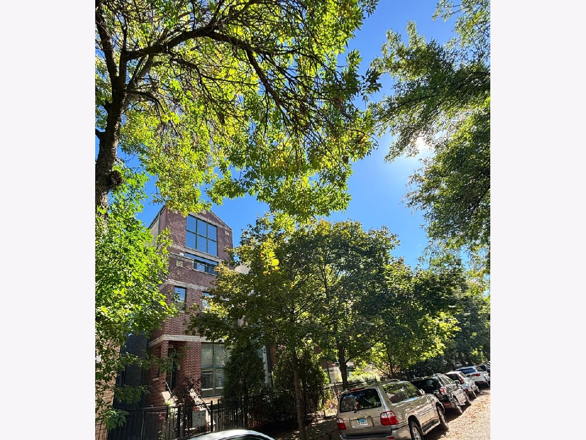  Rented Chicago Illinois, 869 Paulina
