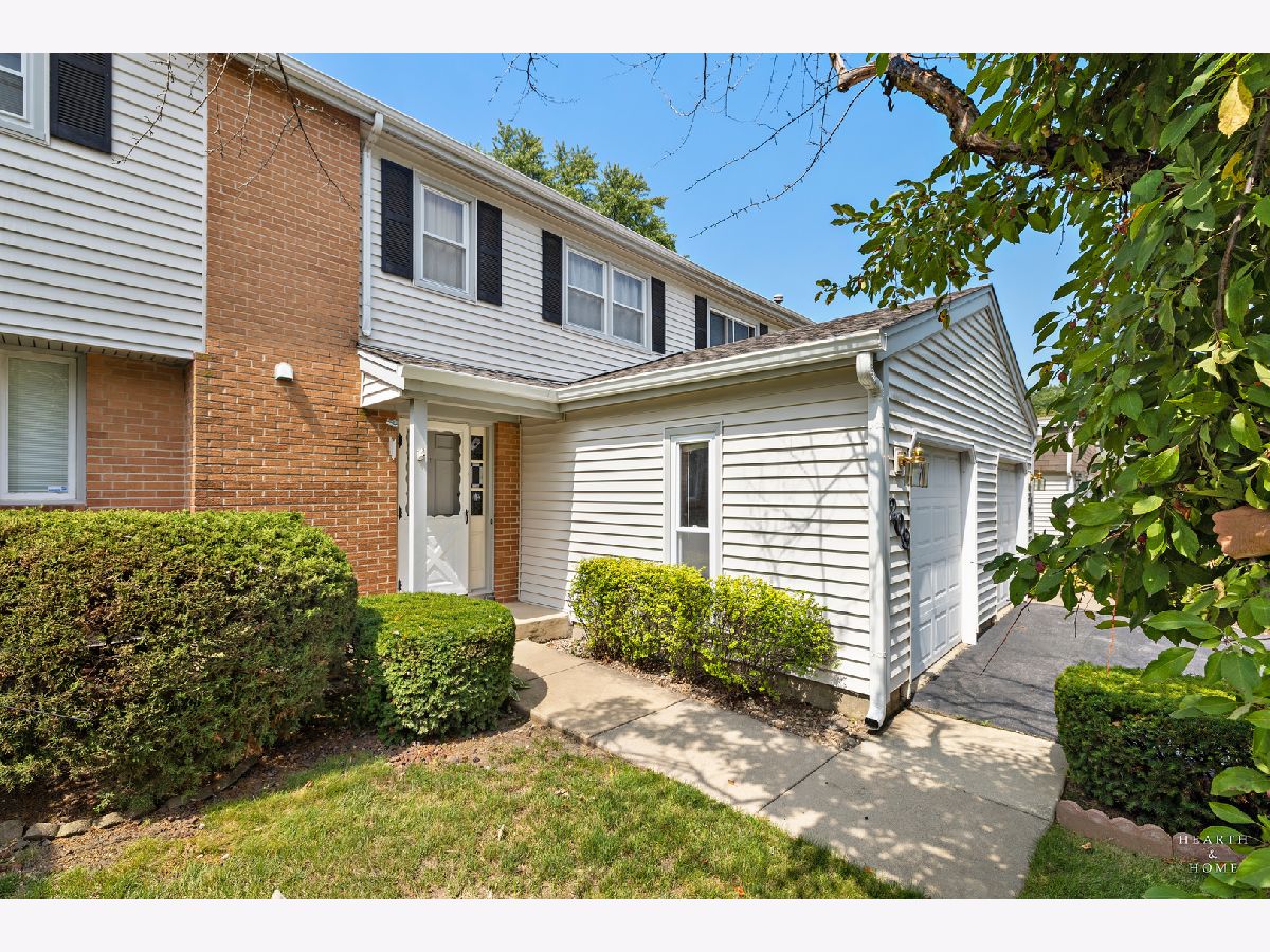 Townhomes For Sale Winston Village Bolingbrook Illinois, 209 Monroe Road