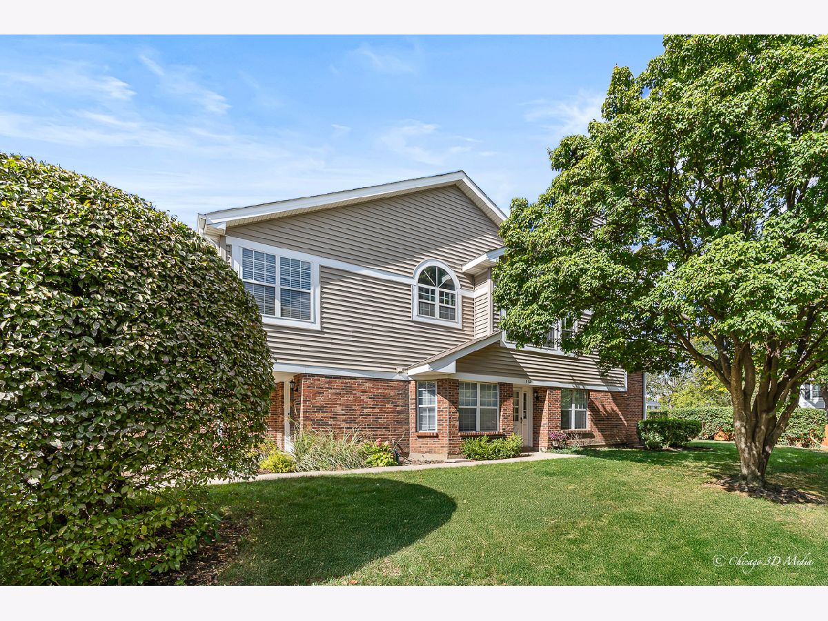  For Rent Arlington Heights Illinois, 522 Happfield