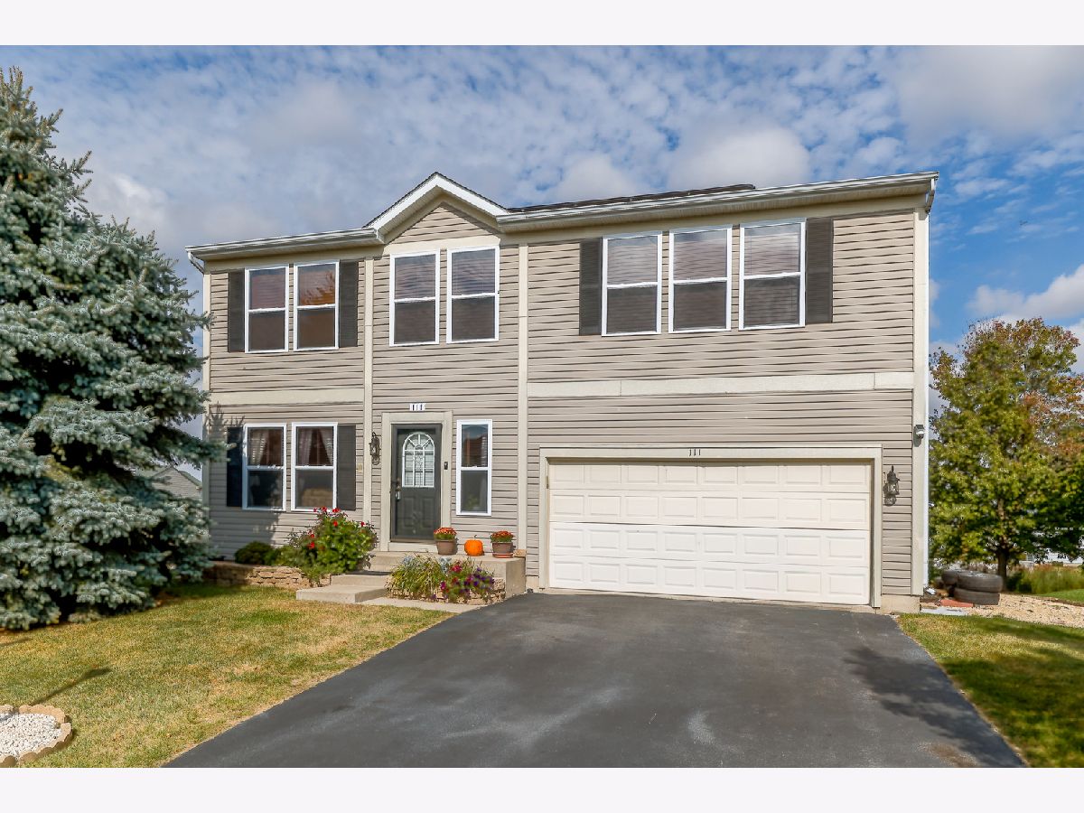 For Sale Kirkland Illinois, 111 Evergreen Drive