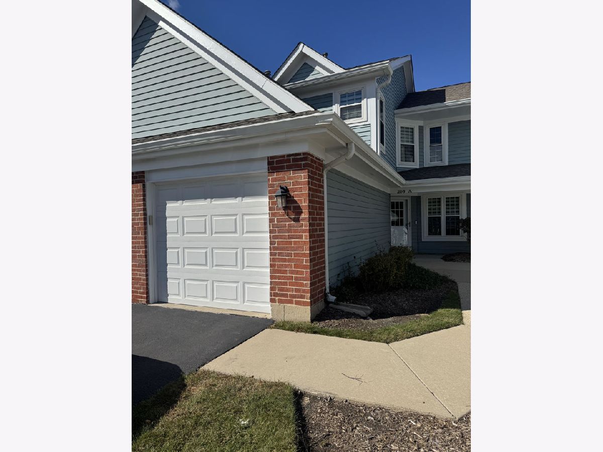Townhomes & Condos For Rent Heatherwood Schaumburg Illinois, 216 Winnsboro