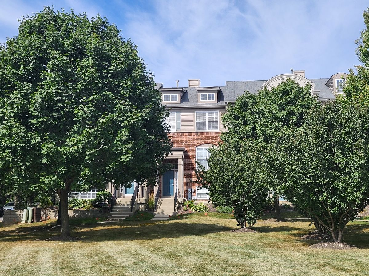Townhomes & Condos For Sale Village Station Grayslake Illinois, 228 Station Park Circle