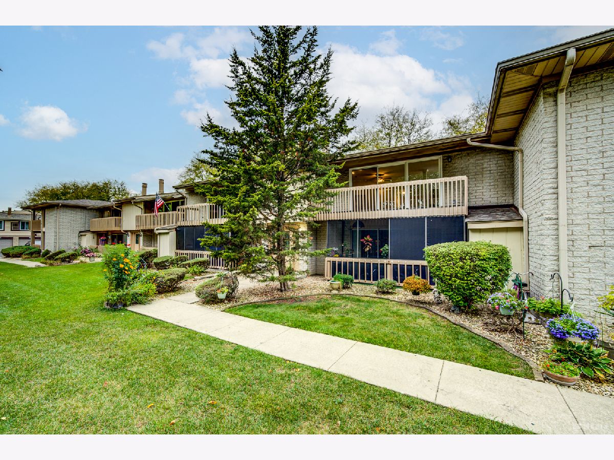 Condos & Townhomes & Homes For Sale Orlan Brook Orland Park Illinois, 15717 Orlan Brook Drive