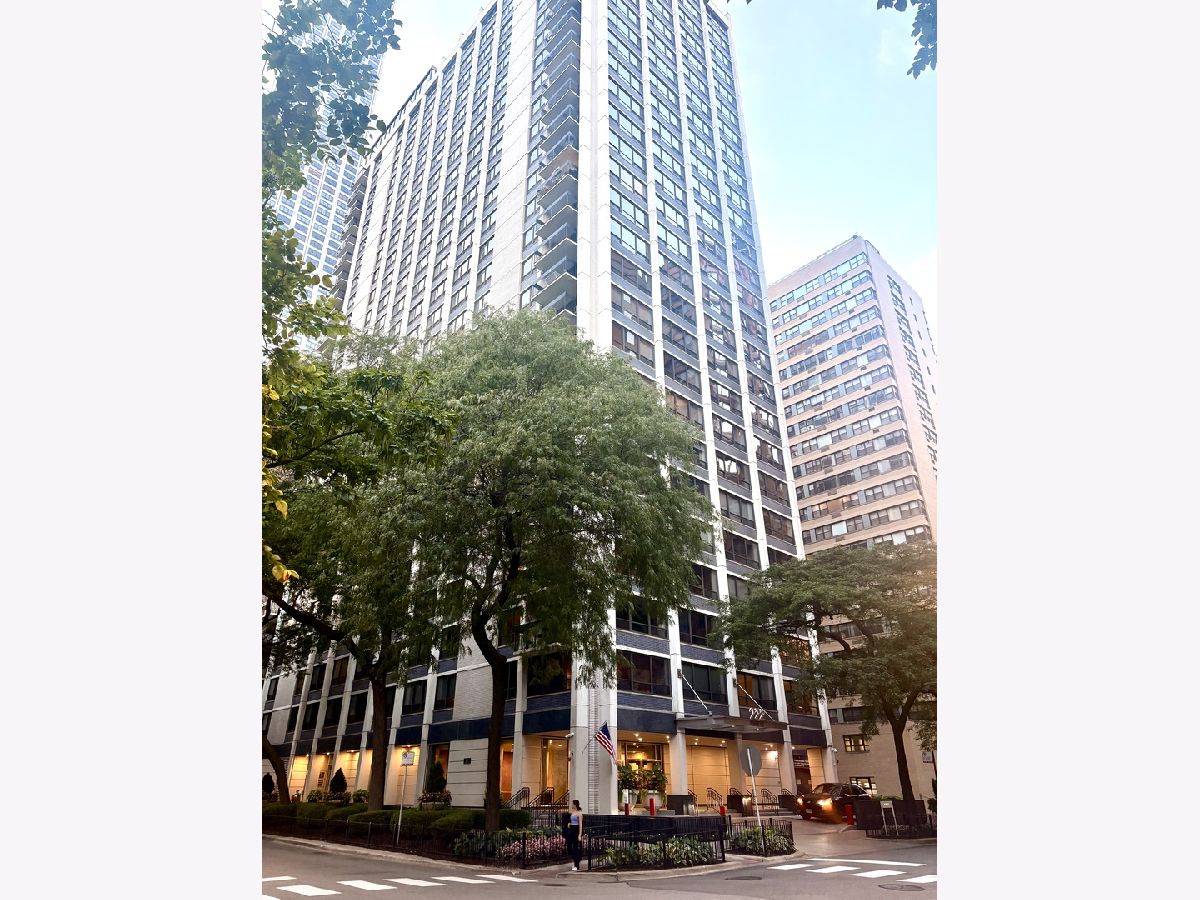 Condominiums For Rent Pearson On The Park Chicago Illinois, 222 Pearson