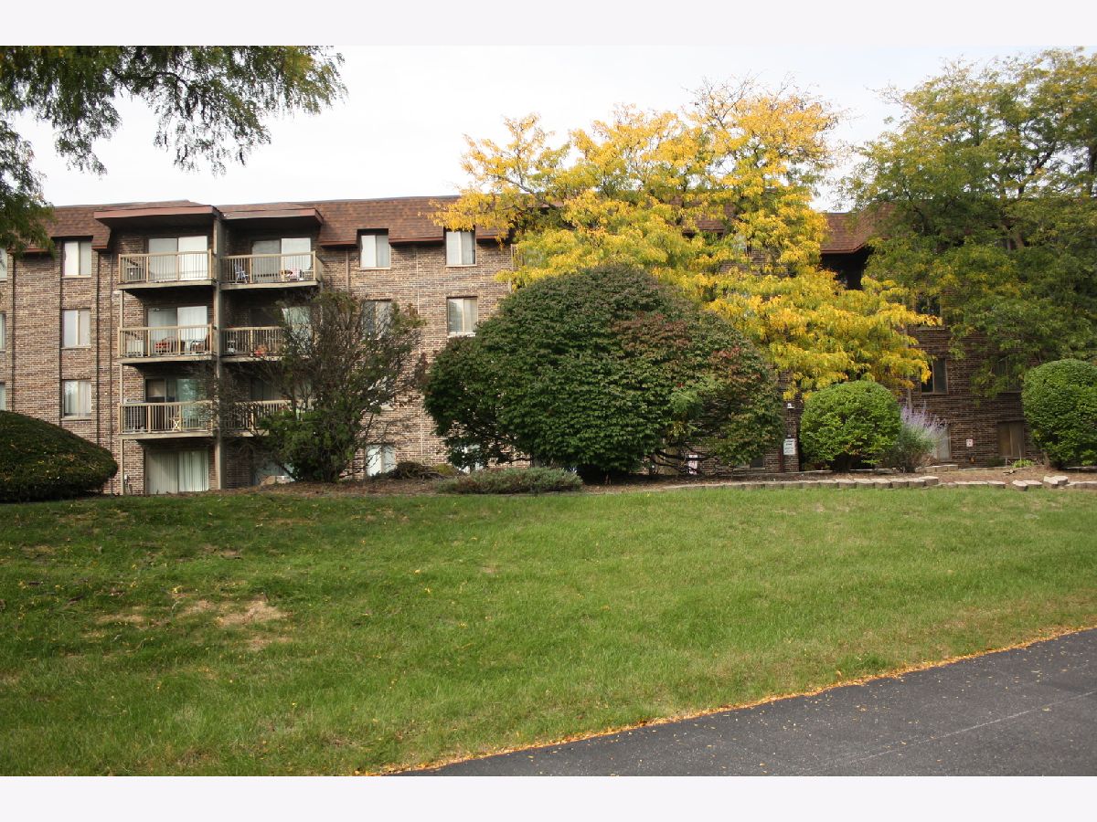 For Sale Homewood Illinois, 820 Elder Road