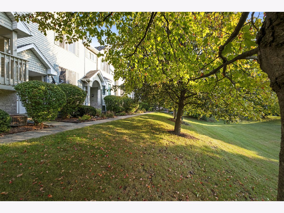 For Sale Elburn Illinois, 403 Willow Street