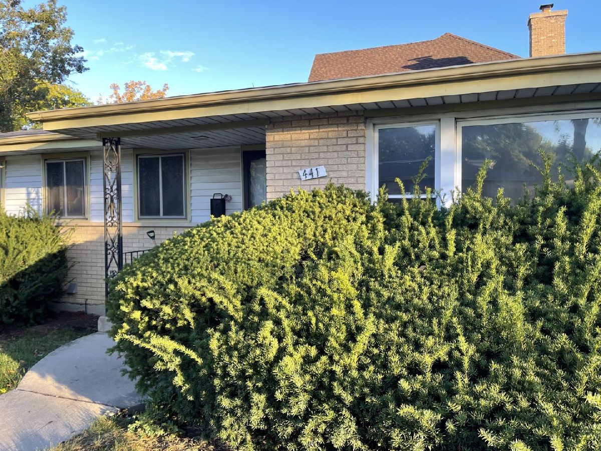 For Sale Elmhurst Illinois, 441 Adams Street