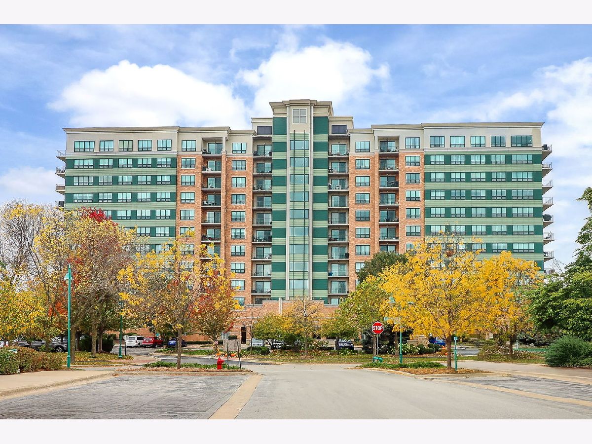 Homes & Condos & Townhomes For Sale Seven Bridges Woodridge Illinois, 6420 Double Eagle Drive
