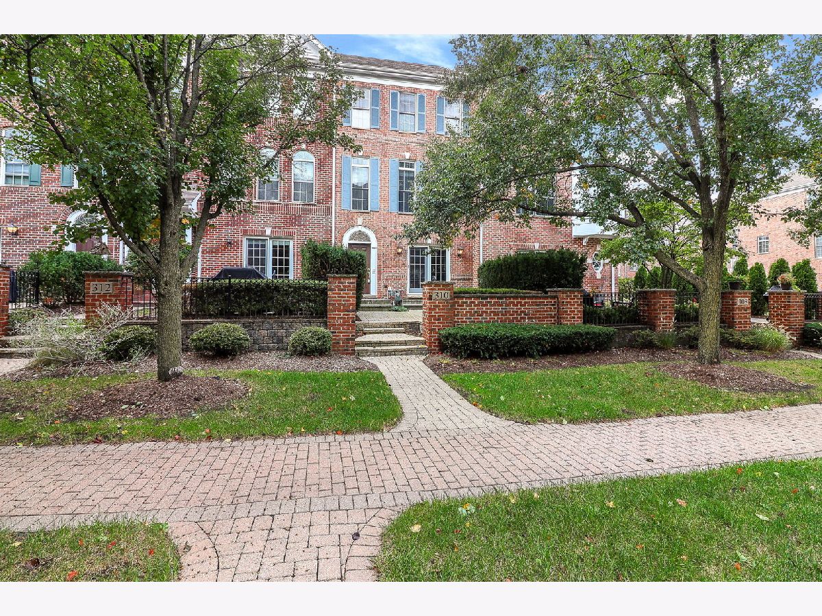 For Rent Naperville Illinois, 310 Big Rail