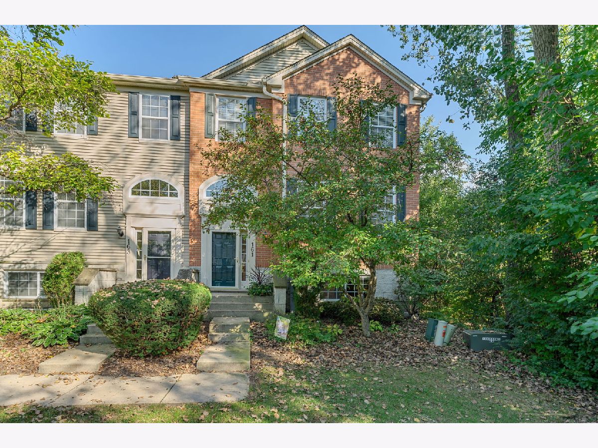  For Sale Willow Springs Illinois, 161 Patrick Avenue