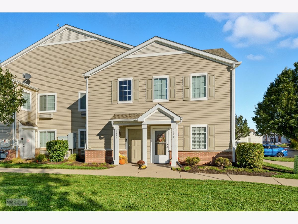 Condos & Townhomes & Homes For Sale Bristol Bay Yorkville Illinois, 164 Bertram Drive