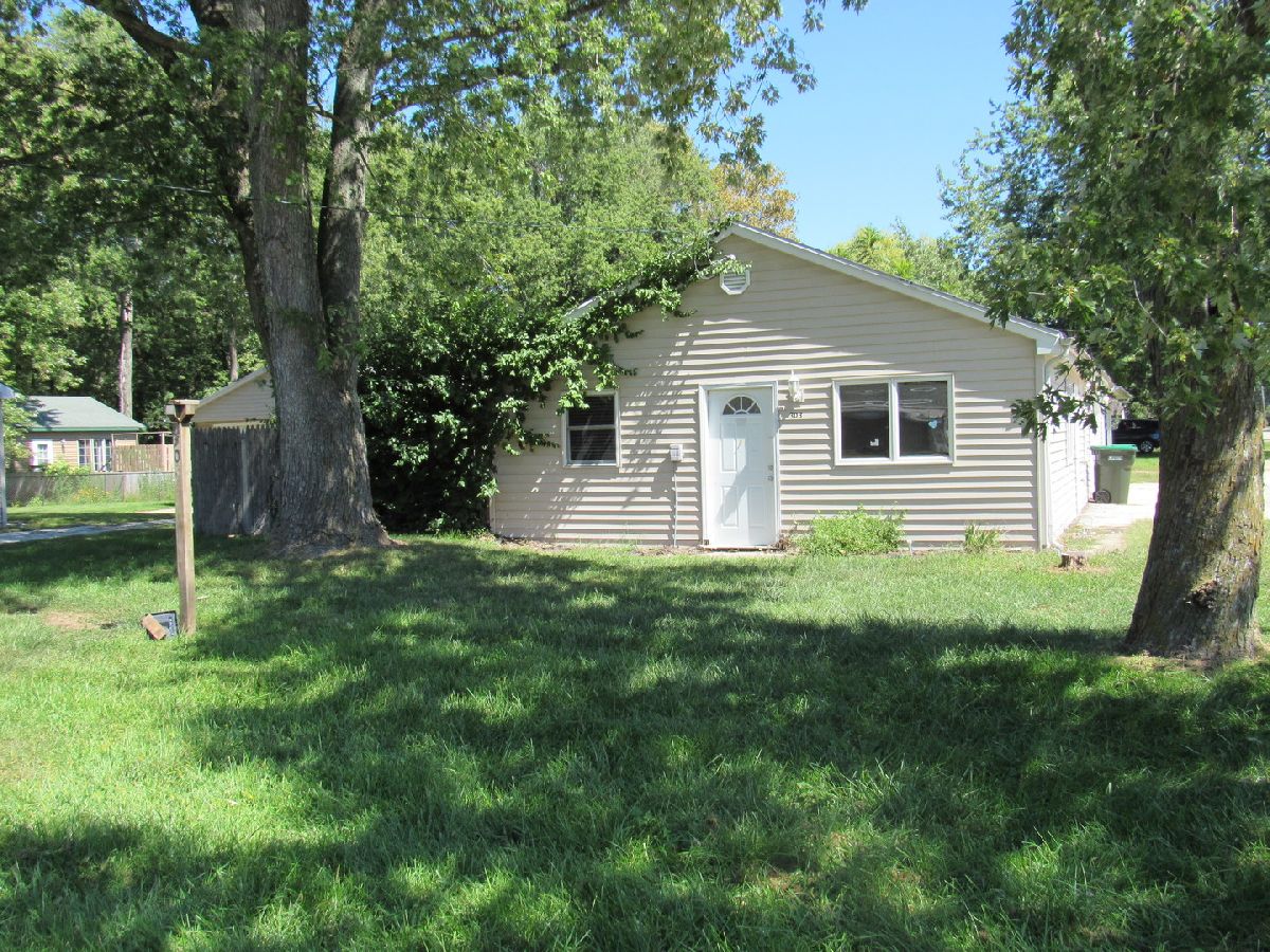  For Sale Braidwood Illinois, 303 Division Street