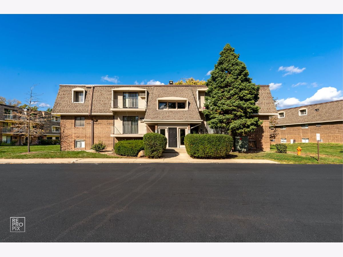  For Rent Naperville Illinois, 264 Bailey