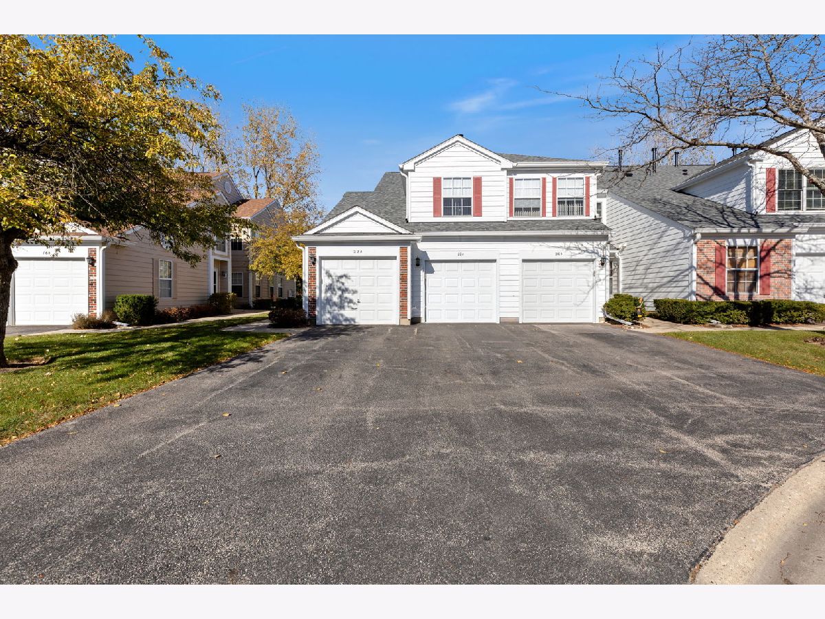  Rented Streamwood Illinois, 22 Tyler