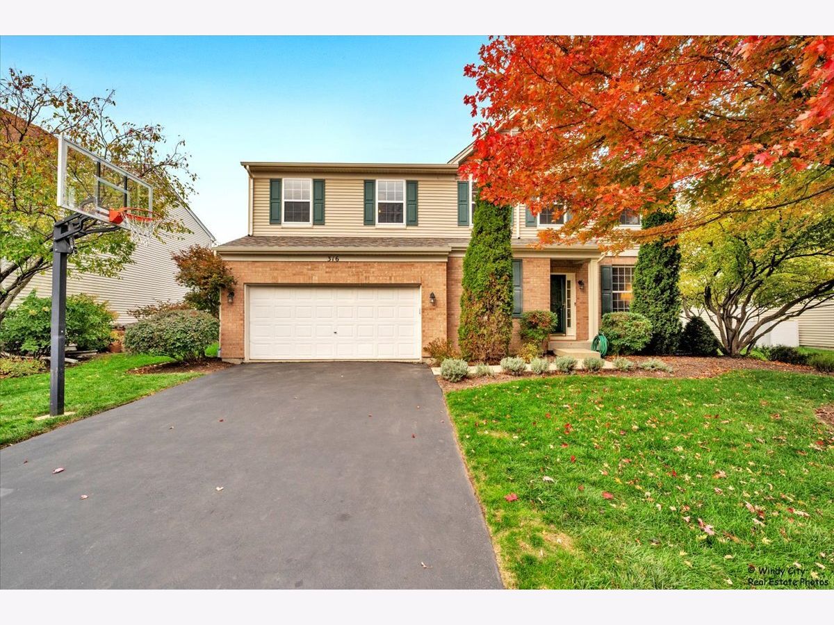  For Sale Gilberts Illinois, 316 Gregory M Sears Drive