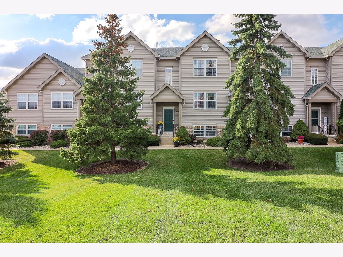  Sold Lockport Illinois, 1914 Austrian Pine