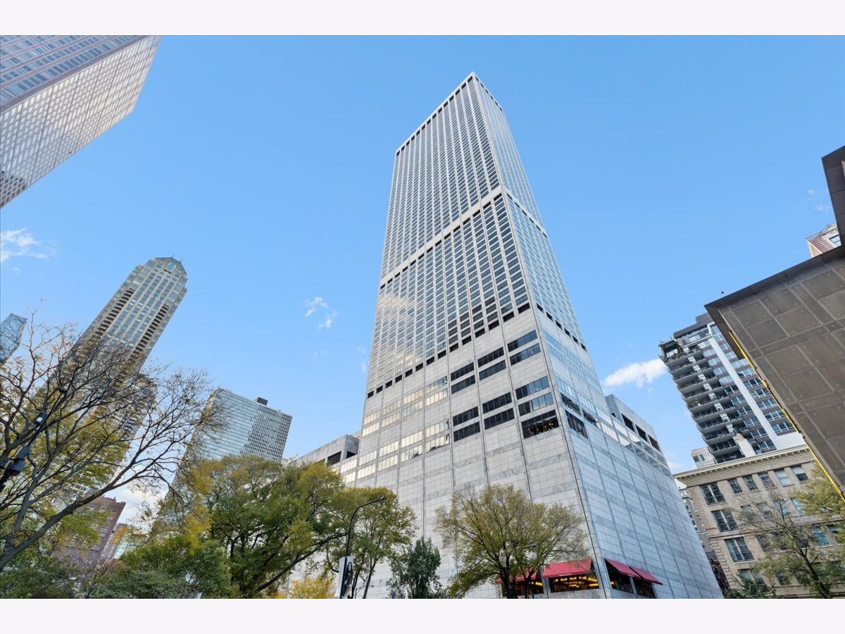  For Sale Chicago Illinois, 180 Pearson Street