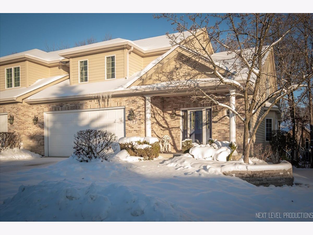 Homes & Condos & Townhomes For Sale Windstone Manor Sugar Grove Illinois, 781 Manor Hill Place