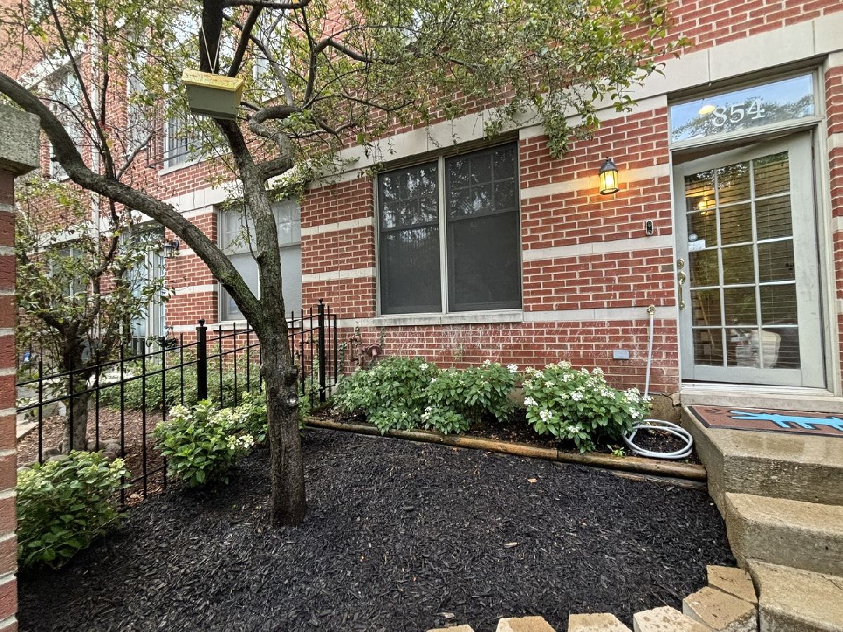  Rented Chicago Illinois, 854 Ogden