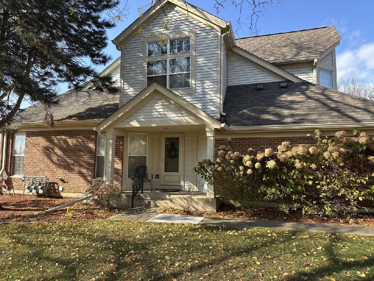  Sold South Elgin Illinois, 111 Ione