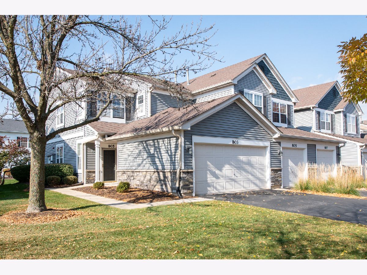 Townhomes & Condos & Homes For Rent Enclave At Country Lakes Naperville Illinois, 805 Genesee