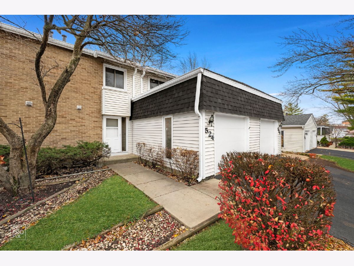  For Sale Bolingbrook Illinois, 524 Jordan Way