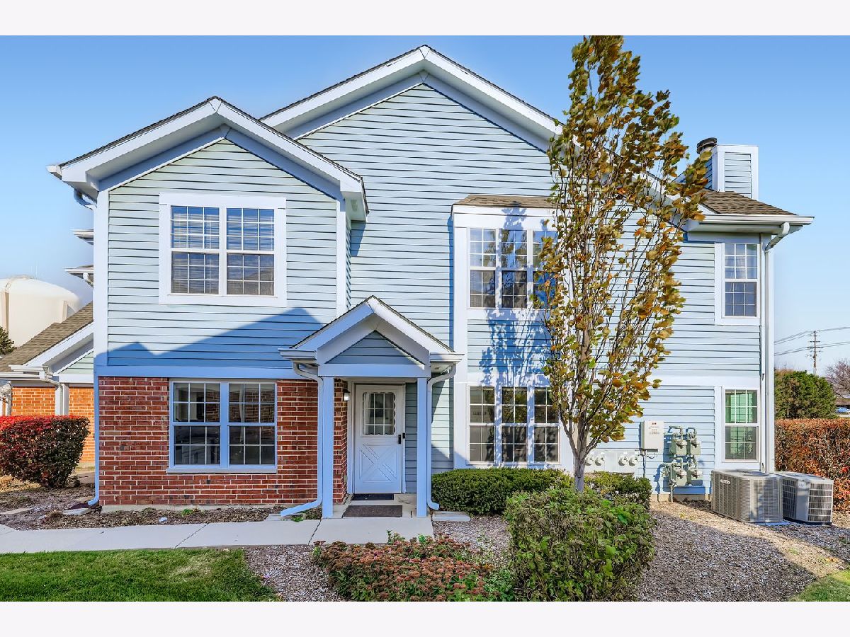 Townhomes & Condos Sold Heatherwood Schaumburg Illinois, 209 Westminster