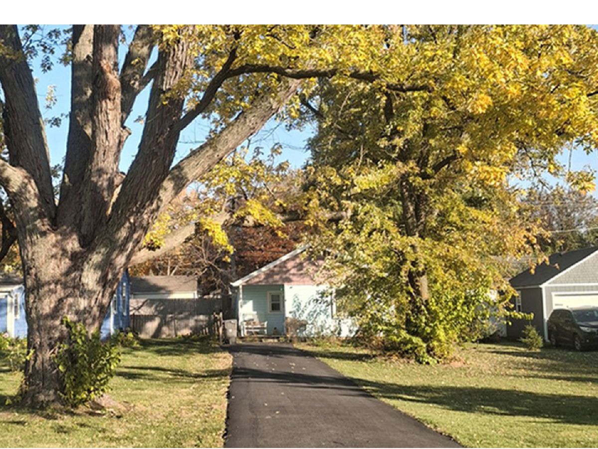  For Sale Elgin Illinois, 215 2nd Street