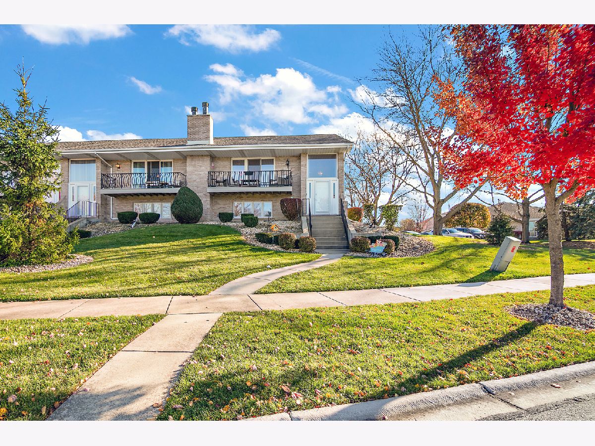 Townhomes & Condos & Homes For Sale Eagle Ridge Ii Orland Park Illinois, 11053 Louetta Lane