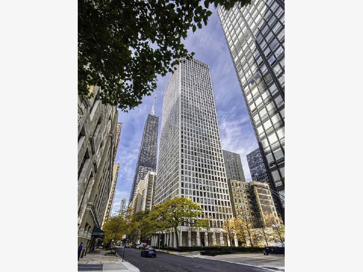 Condominiums For Sale Plaza On Dewitt Chicago Illinois, 260 Chestnut Street