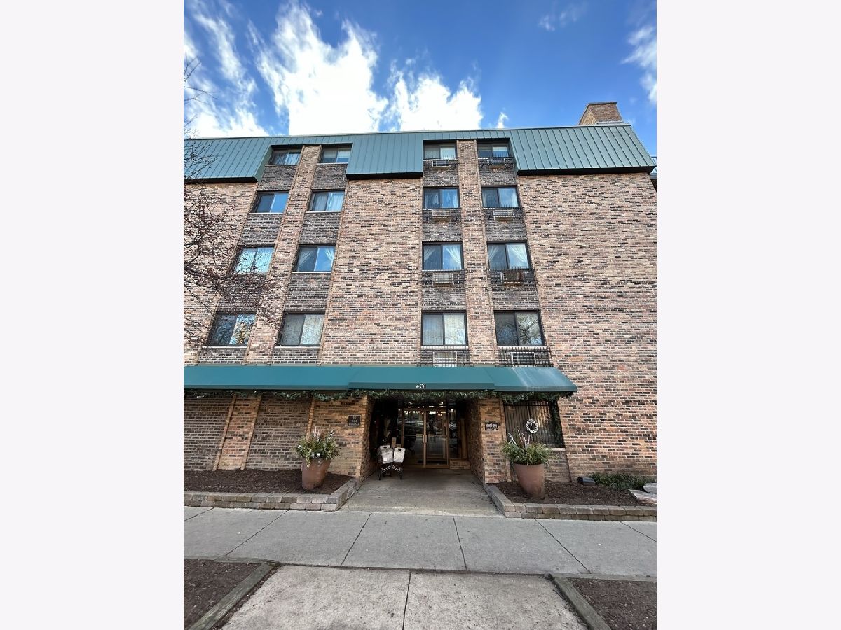  Rented Chicago Illinois, 401 Webster