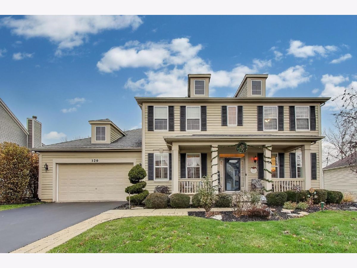  For Sale Elgin Illinois, 379 Fountain Avenue