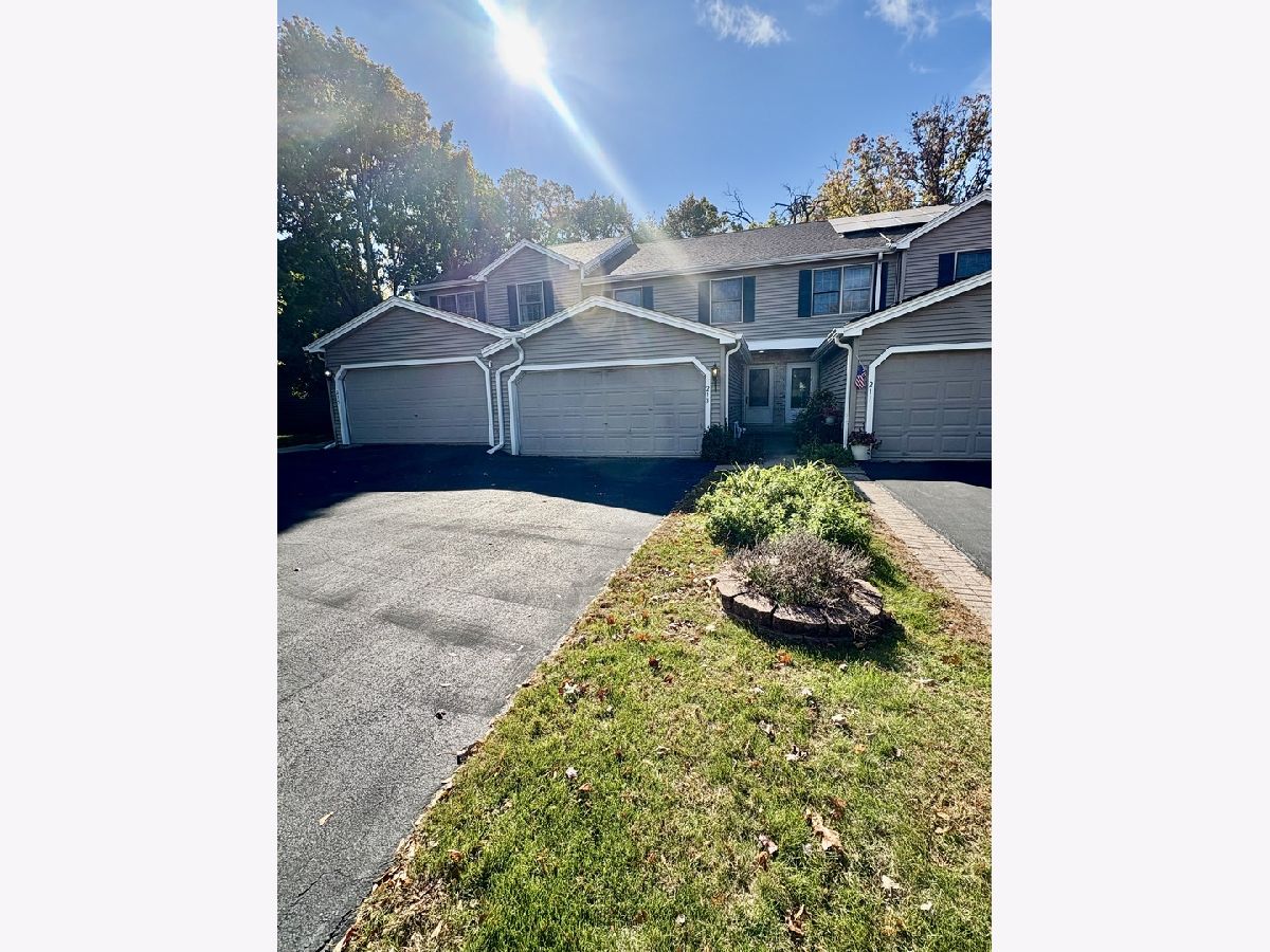  For Rent Bolingbrook Illinois, 213 Pamela