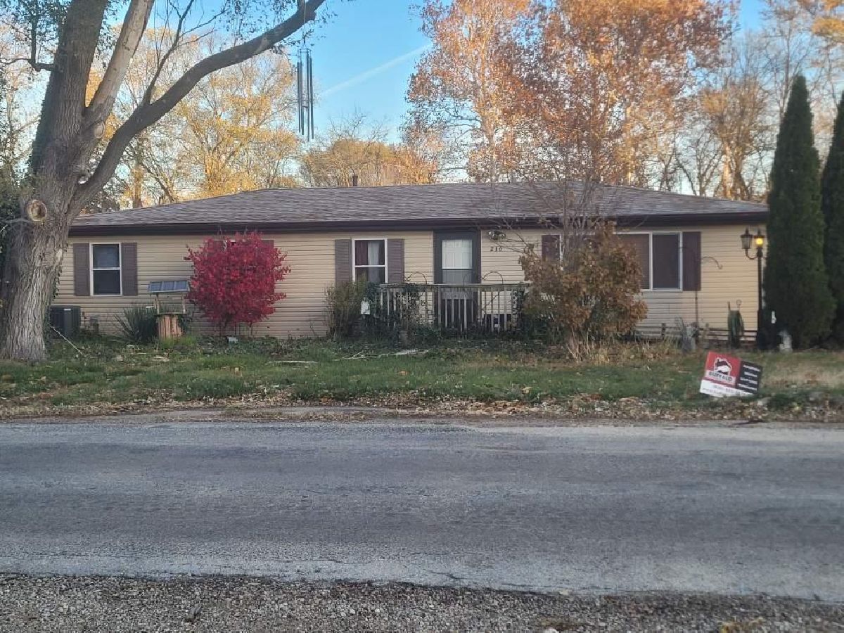  For Sale Braceville Illinois, 216 Main Street