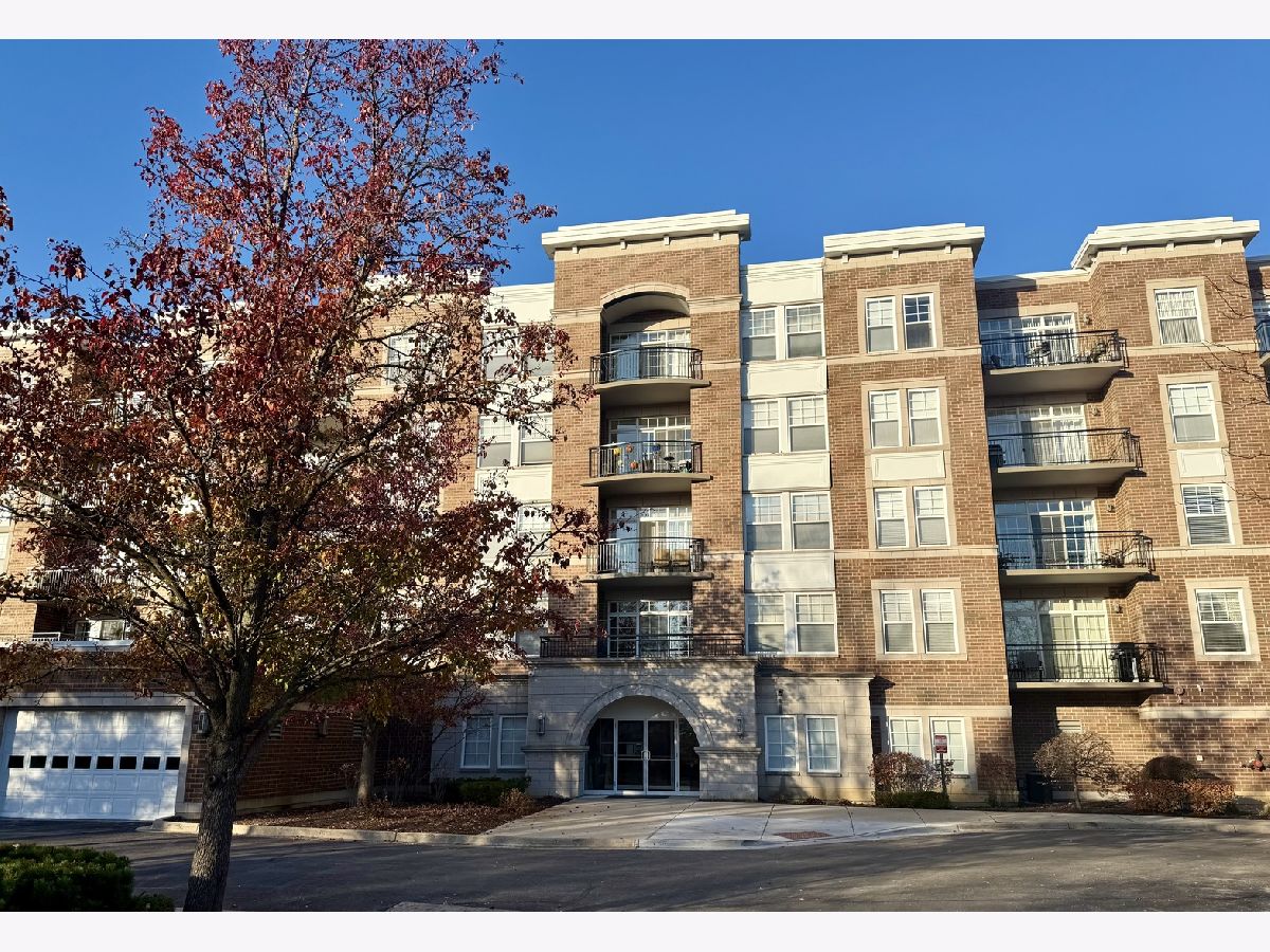  Rented Palatine Illinois, 455 Wood