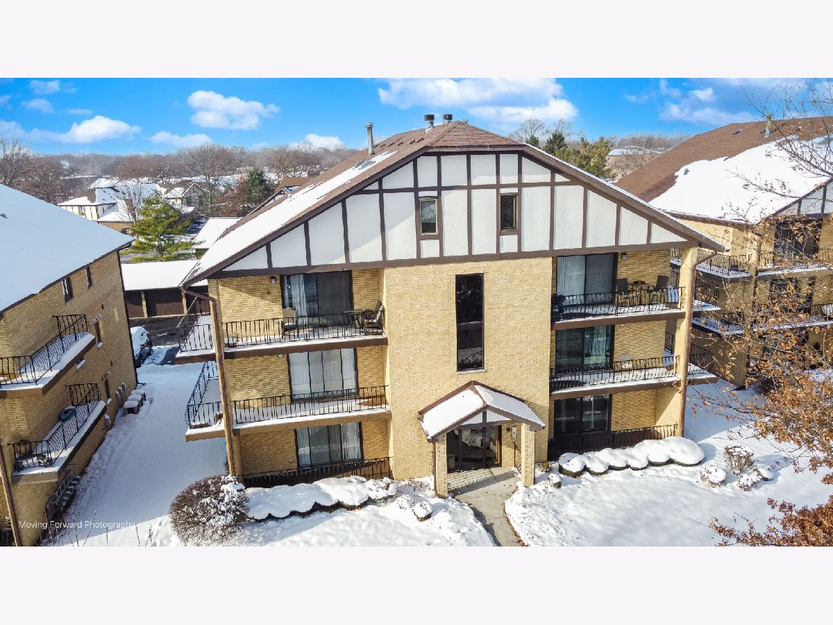  For Sale Tinley Park Illinois, 17960 Royal Oak Court