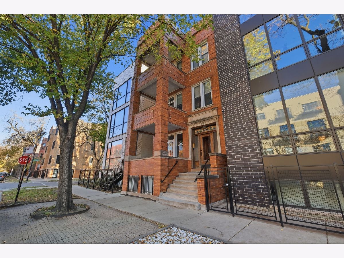  Rented Chicago Illinois, 823 Hoyne