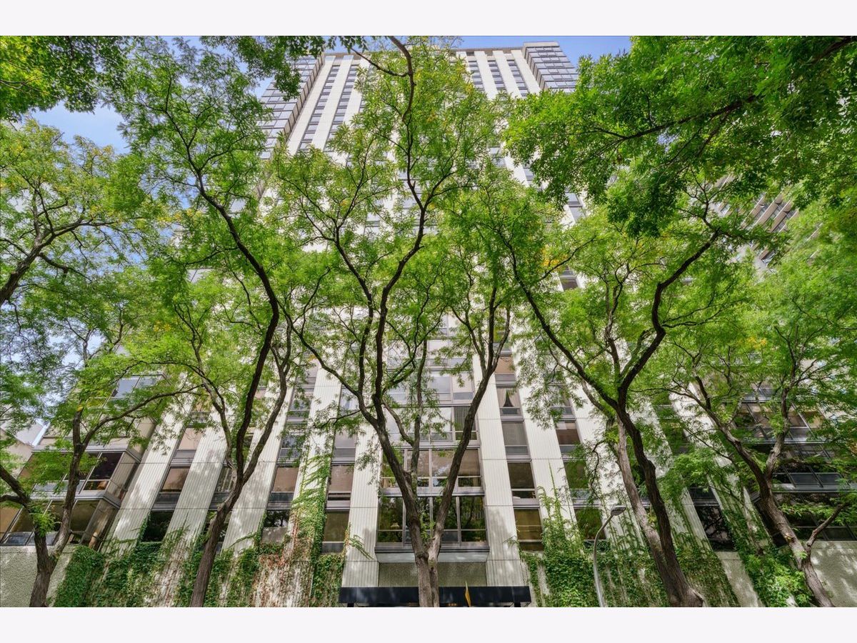  Rented Chicago Illinois, 100 Bellevue