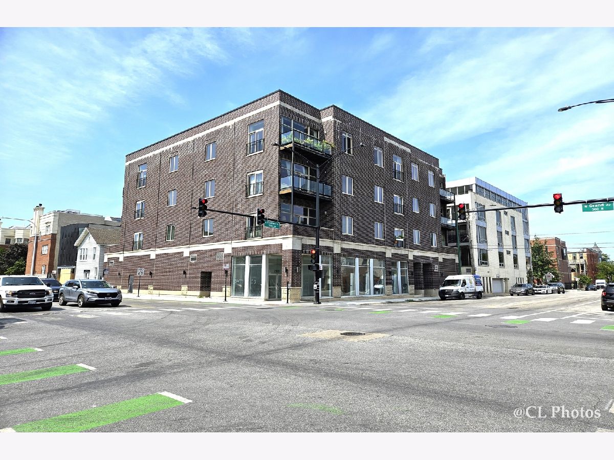  Rented Chicago Illinois, 500 Damen