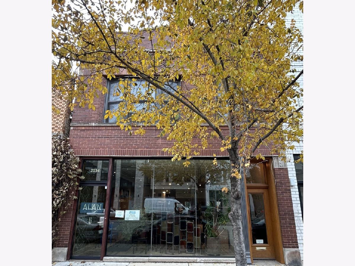 Condos & Townhomes & Homes For Rent Bucktown Chicago Illinois, 2134 Damen