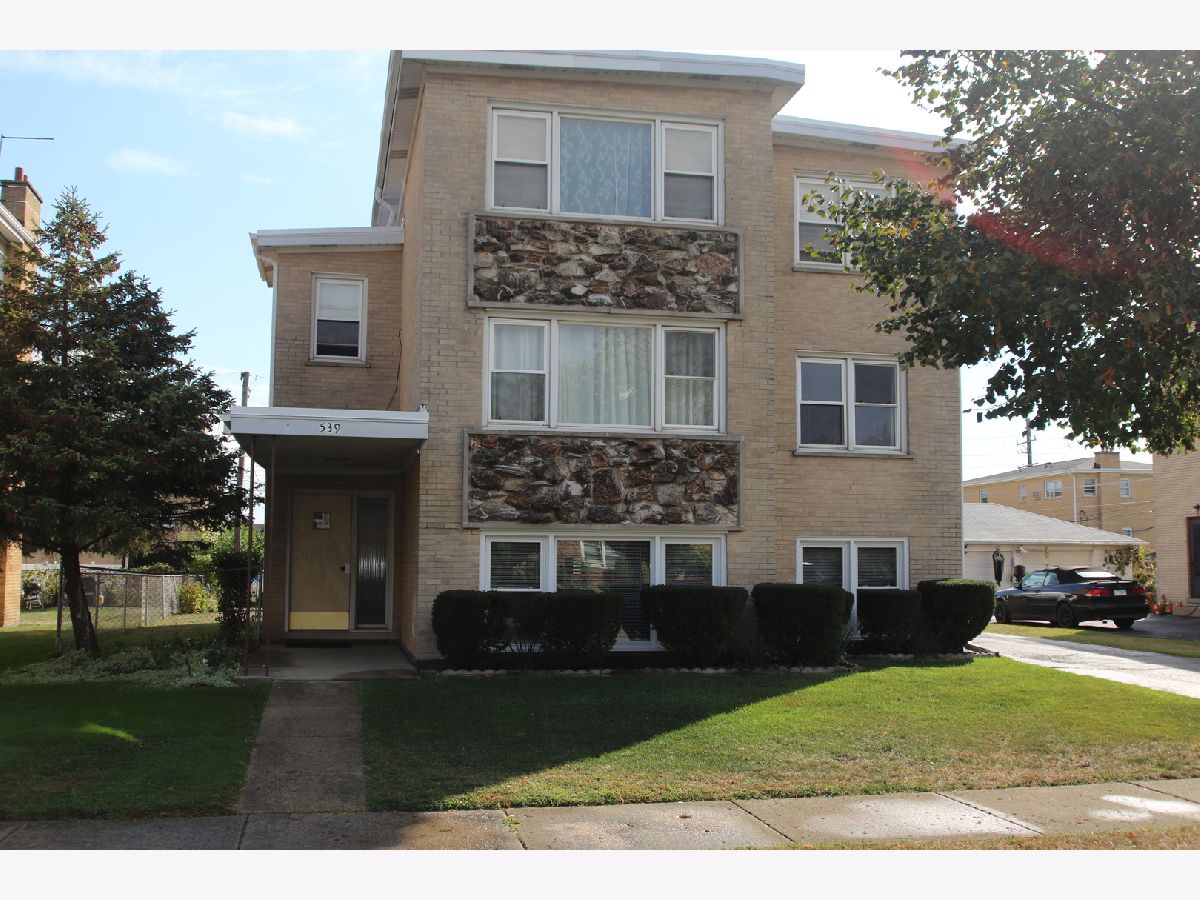  For Rent Mount Prospect Illinois, 539 Ida