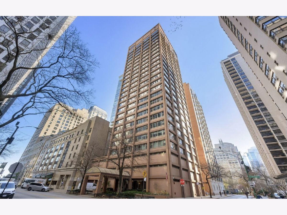 Condos & Townhomes For Rent Streeterville Chicago Illinois, 247 Chestnut