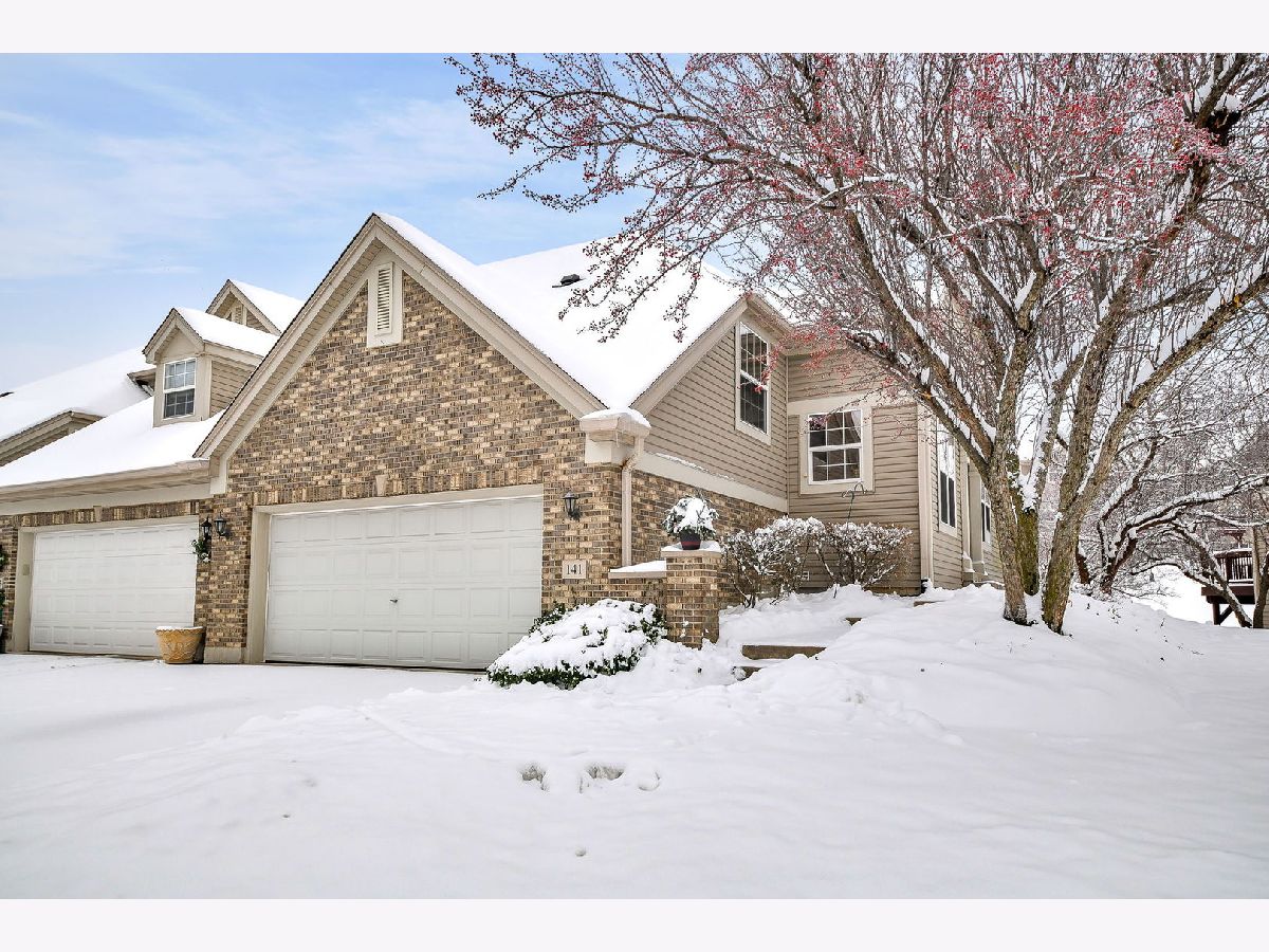  For Sale Oswego Illinois, 141 River Mist Drive