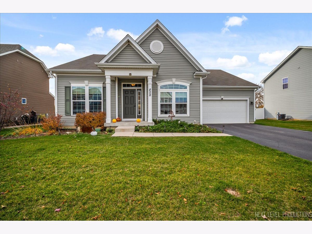  For Sale Gilberts Illinois, 828 Mario Lane