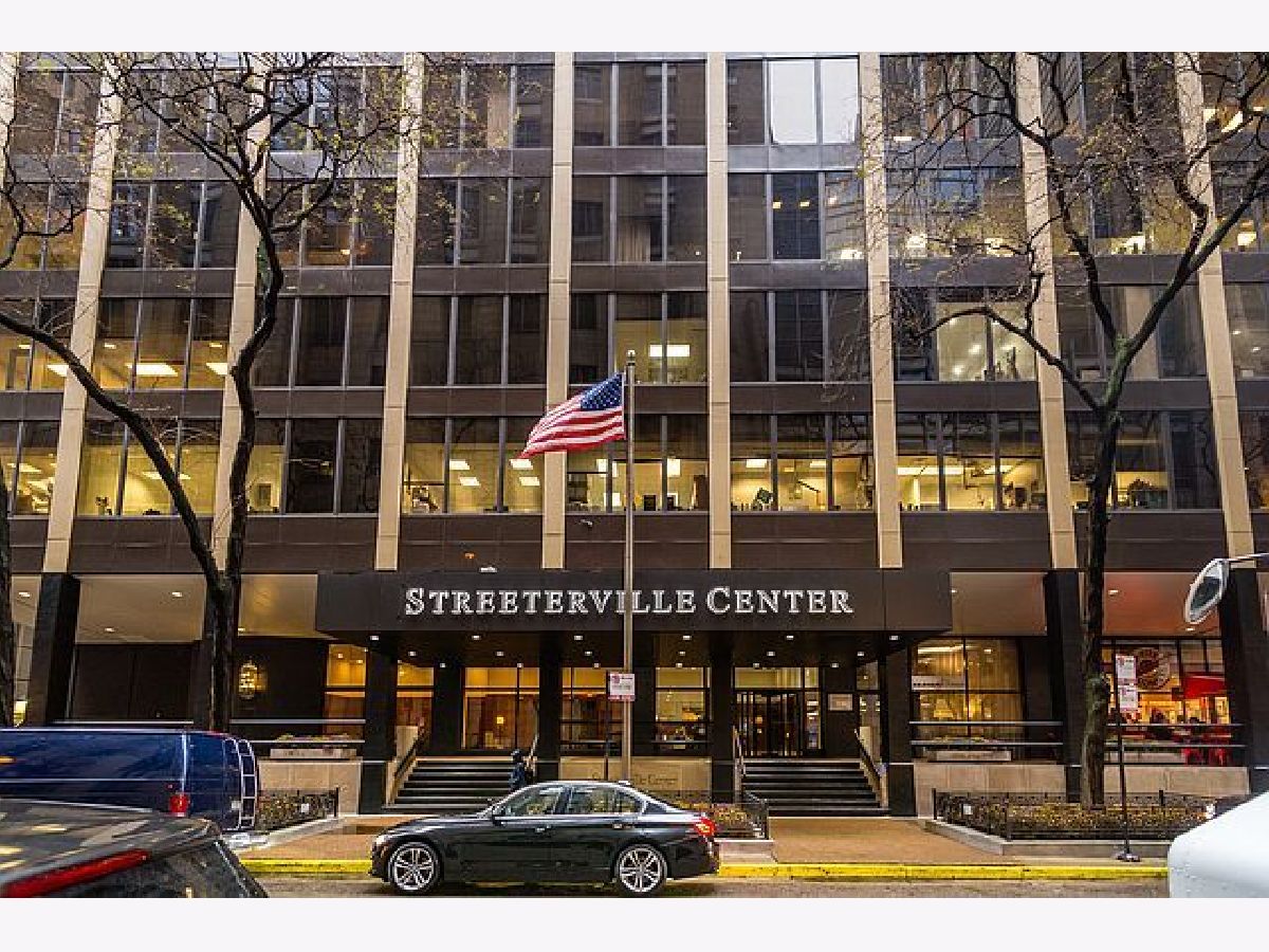 Condos & Townhomes For Sale Streeterville Chicago Illinois, 233 Erie Street