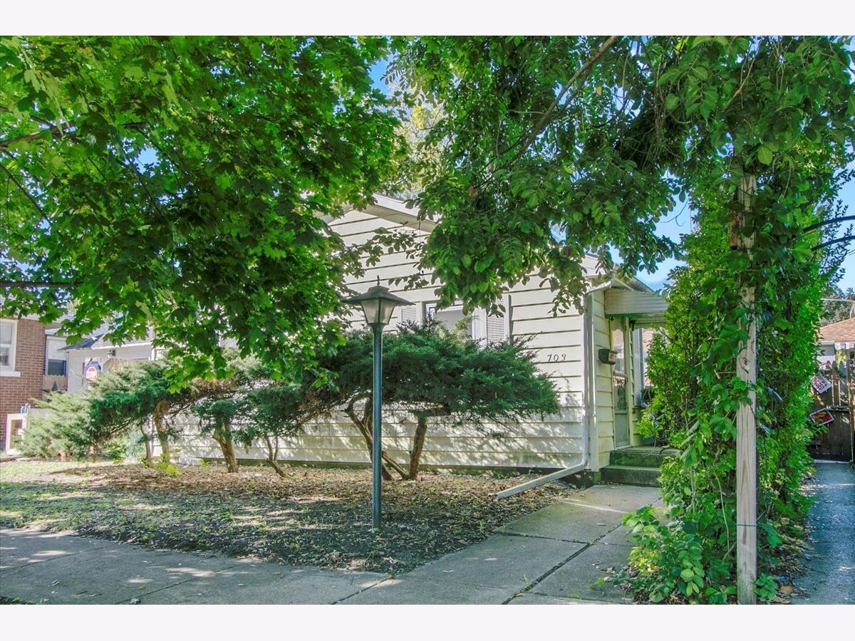  For Sale Joliet Illinois, 703 Oakland Avenue
